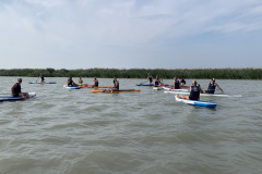 WSO-Event1-0952