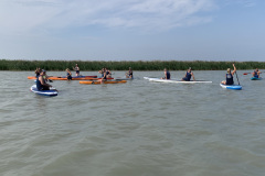 WSO-Event1-0953